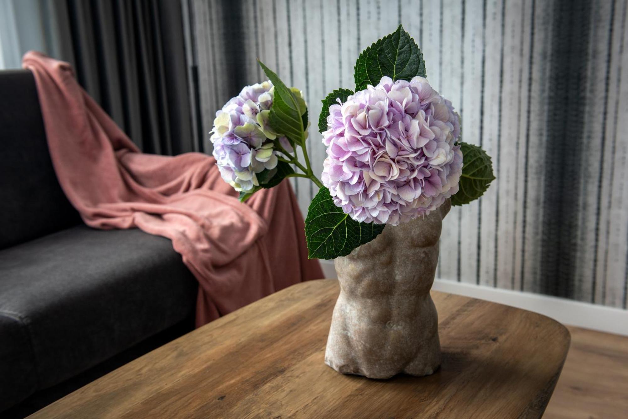 Inpoint Spacious Apartments Near Main Square & Kazimierz District Krakau Zimmer foto